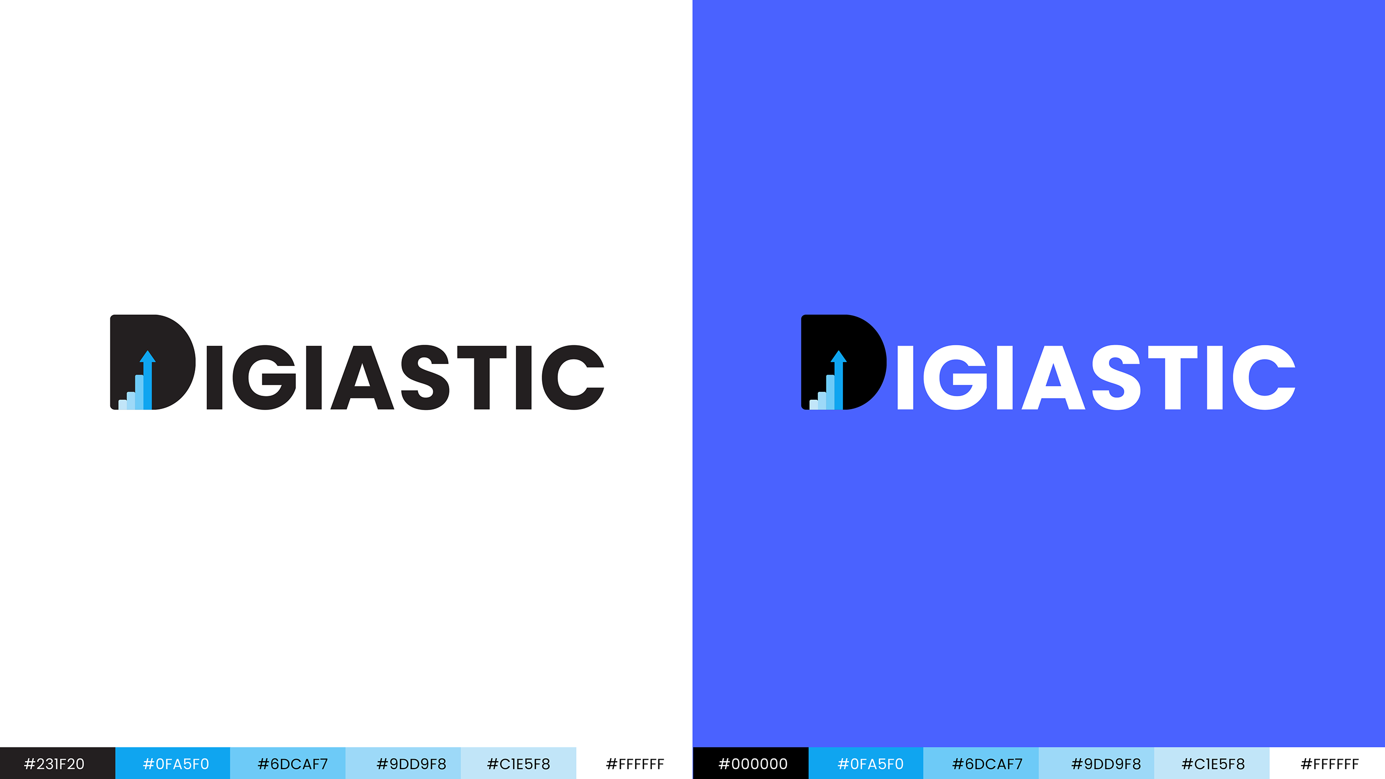 Digiastic logo
